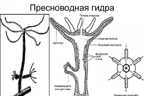 Кракен торговая kr2web in