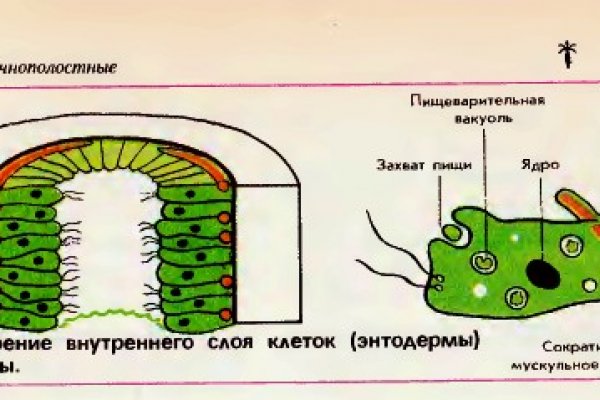 Кракен ссылка стор