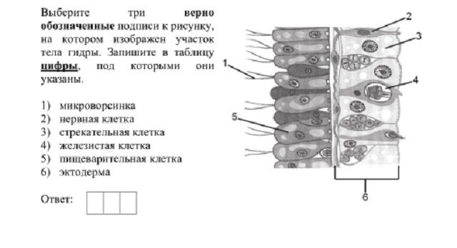 Кракен даркнет регистрация