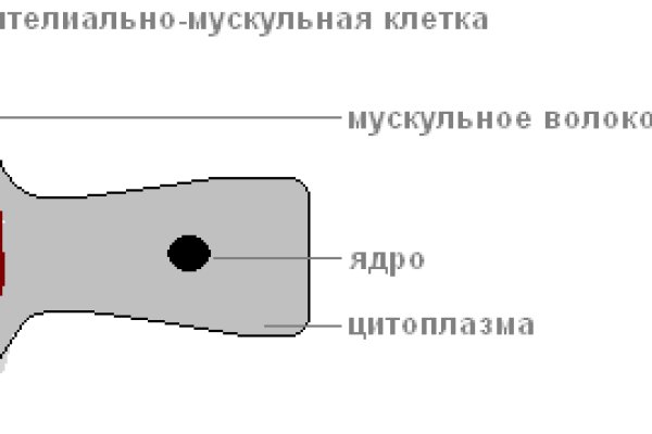 Кракен тор krakens13 at